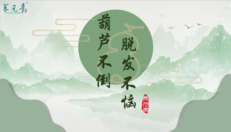 「养元青」防脱洗护品牌营销策划案